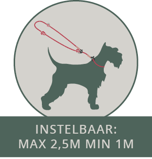 FL Icon - Instelbaar - text